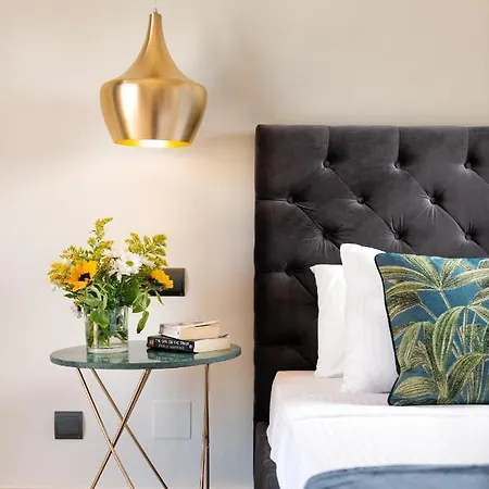 Stunning Modern Frontline - Rdr206 *